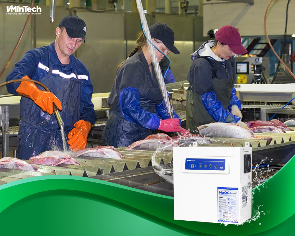 NaOClean ứng dụng trong quy trình khử trùng công nghiệp của nhà máy chế biến thủy sản, ví dụ như rửa cá ngừ
