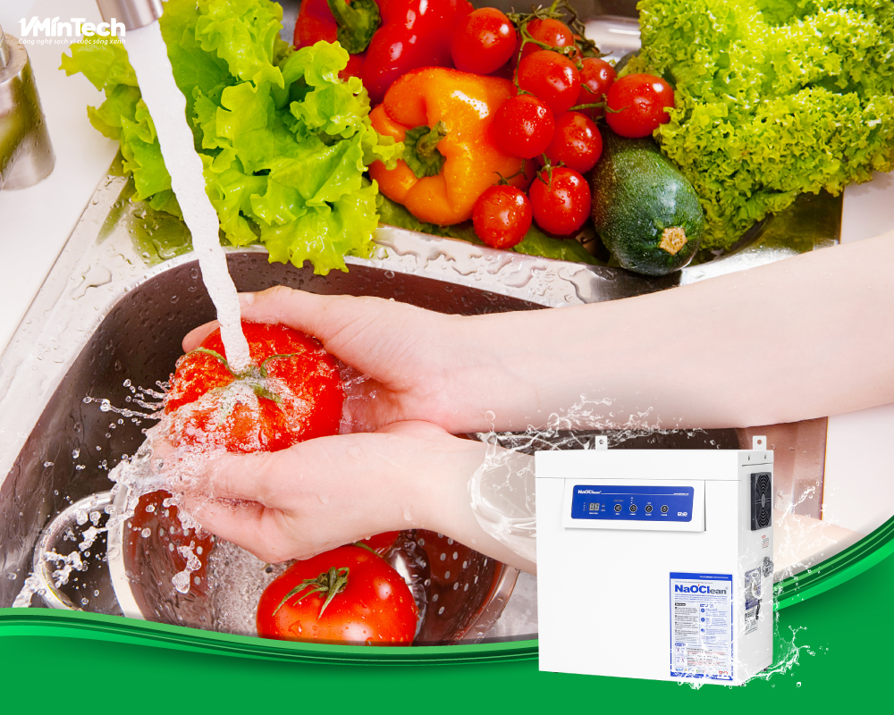 Rửa rau củ quả bằng nước khử khuẩn NaOClean giúp loại bỏ dư lượng thuốc bảo vệ thực vật đảm bảo an toàn tại nhà hàng