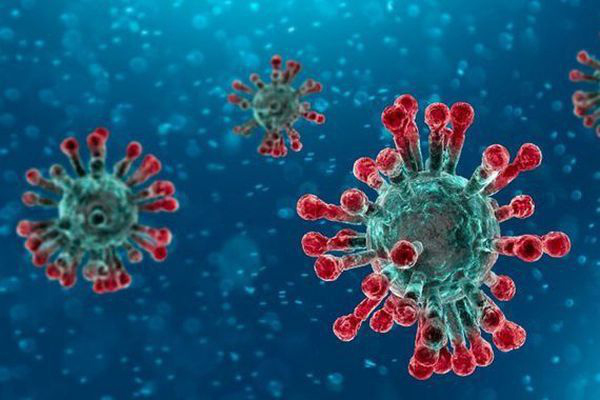 Virus SARS-CoV-2 thuộc nhóm Coronavirus gây ra đại dịch COVID-19
