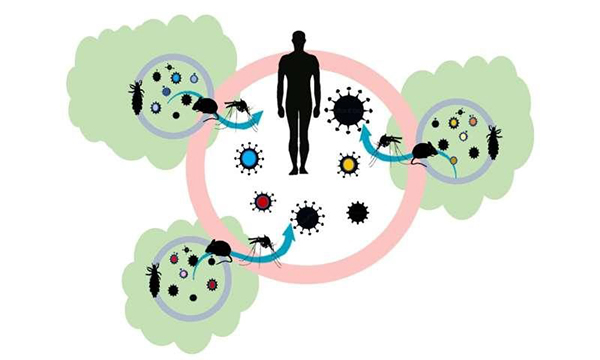 Các cách phòng chống bệnh truyền nhiễm hiệu quả