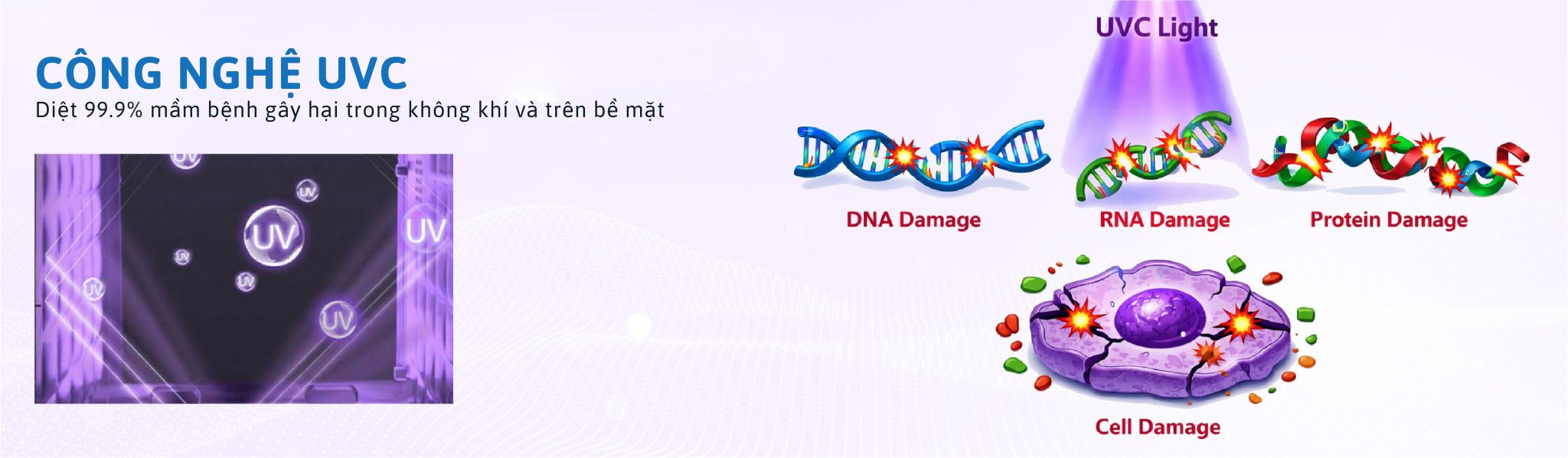 NGUYÊN LÝ HOẠT ĐỘNG CỦA CÔNG NGHỆ UV-C
